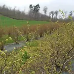 Agriturismo Cascina Marinona مزرعة للإقامة