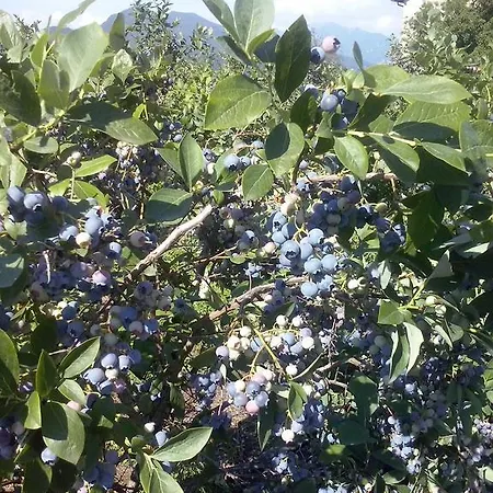 Agriturismo Cascina Marinona * Induno Olona