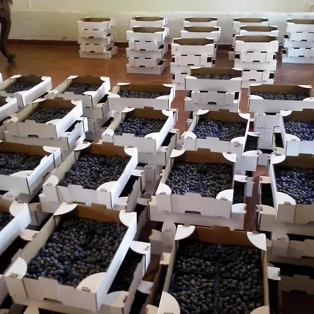 Agriturismo Cascina Marinona * Induno Olona