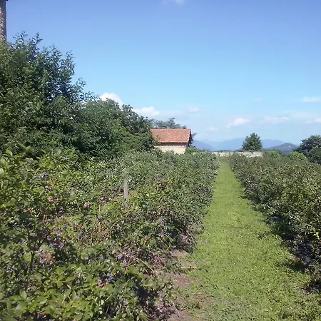 Agriturismo Cascina Marinona مزرعة للإقامة *