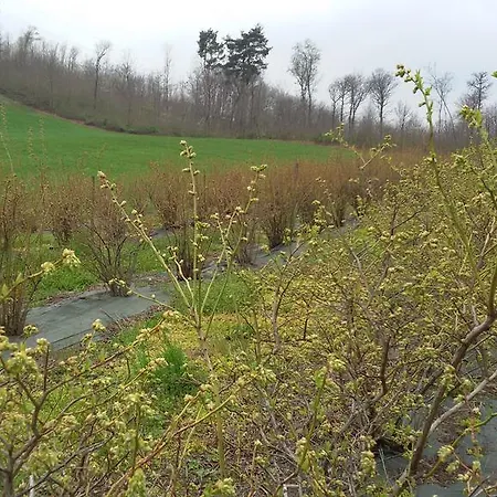 Agriturismo Cascina Marinona בית חווה